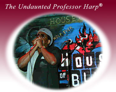 The Undaunted Professor Harp