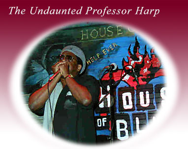 The Undaunted Professor Harp